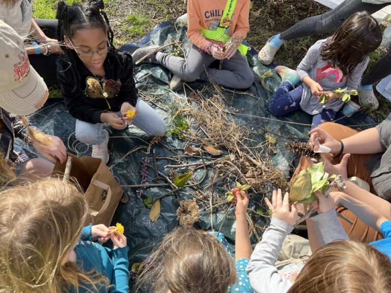 Éducation à l'espace ouvert