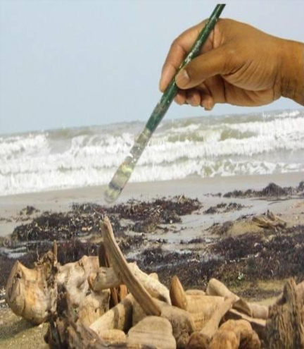 Everett Mayo alias "lord of the wood"